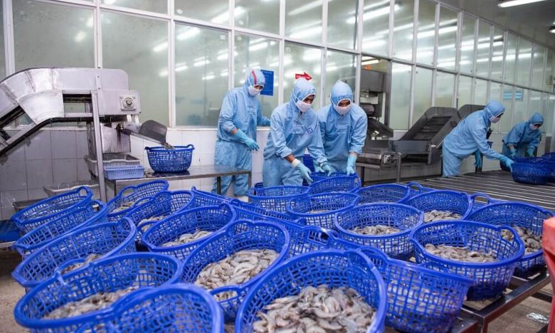 Thực phẩm Sao Ta (FMC) báo lãi quý II giảm 35%, nhưng xuất khẩu đã “sáng” trở lại từ tháng 6