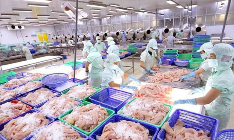 Thủy sản Cửu Long An Giang (ACL) làm ăn sa sút, lãi hơn 6 tỷ trong nửa năm, đường về đích còn xa