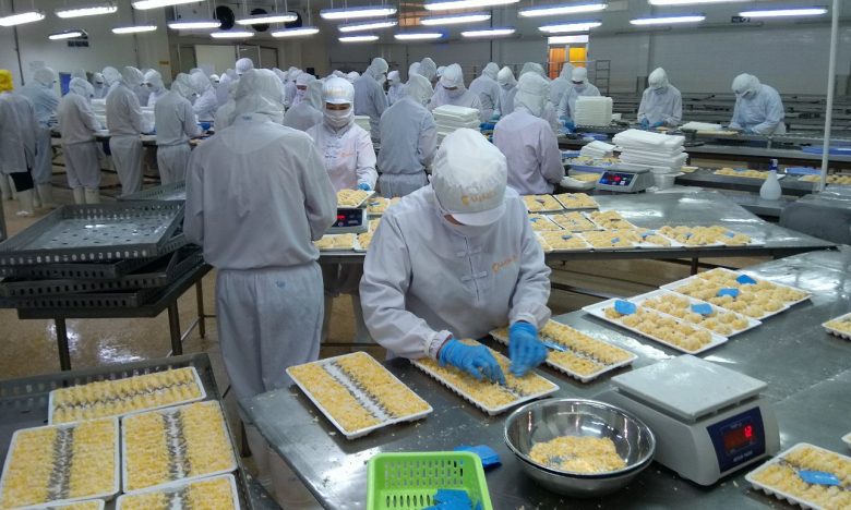 Camimex Group (CMX): Lãi giảm gần 47% xuống 24,8 tỷ đồng trong quý II/2023
