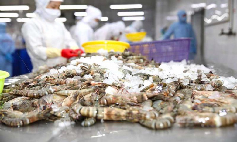 Minh Phú lỗ hơn 88 tỷ trong 6 tháng đầu năm, chiến lược của ông Lê Văn Quang có đưa MPC về đích?
