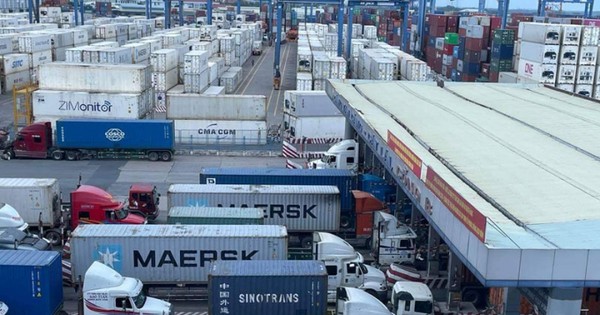 Hàng trăm container chuối, mít, sầu riêng bất ngờ bị 'tuýt còi' xuất Trung Quốc