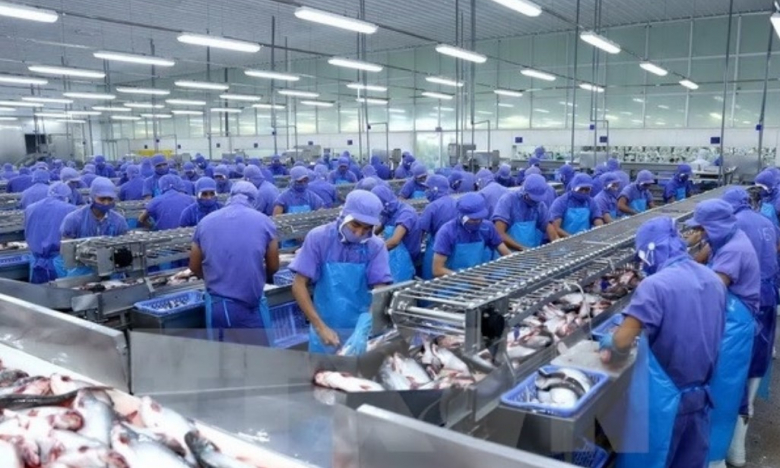Vĩnh Hoàn (VHC) tiếp tục chốt ngày trả cổ tức 2023 bằng tiền ngay sau khi hoàn tất tăng vốn lên hơn 2.200 tỷ đồng