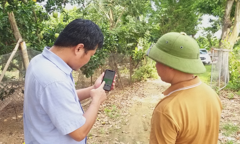 Cận cảnh: Nuôi cá bằng... smartphone ở Vĩnh Phúc