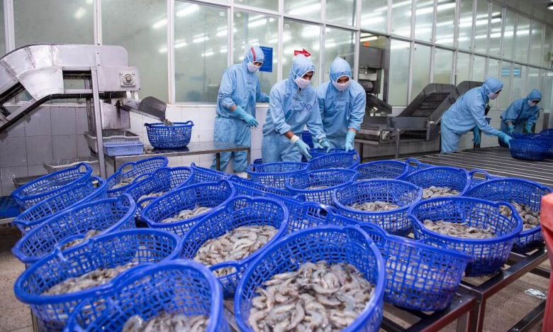 Cước vận chuyển 'ăn mòn' lợi nhuận của Sao Ta (FMC) 