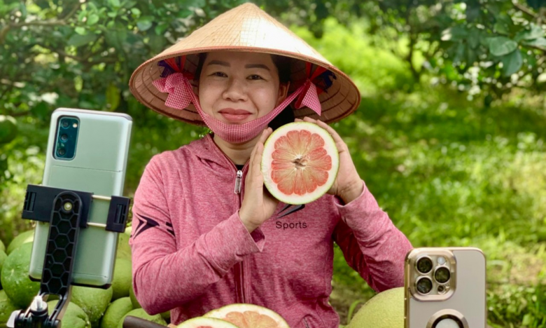Sau Hội nghị Thủ tướng đối thoại với Nông dân: Bộ Công Thương 'bắt tay' Tiktok, Alibaba đưa nông sản Việt lên không gian số