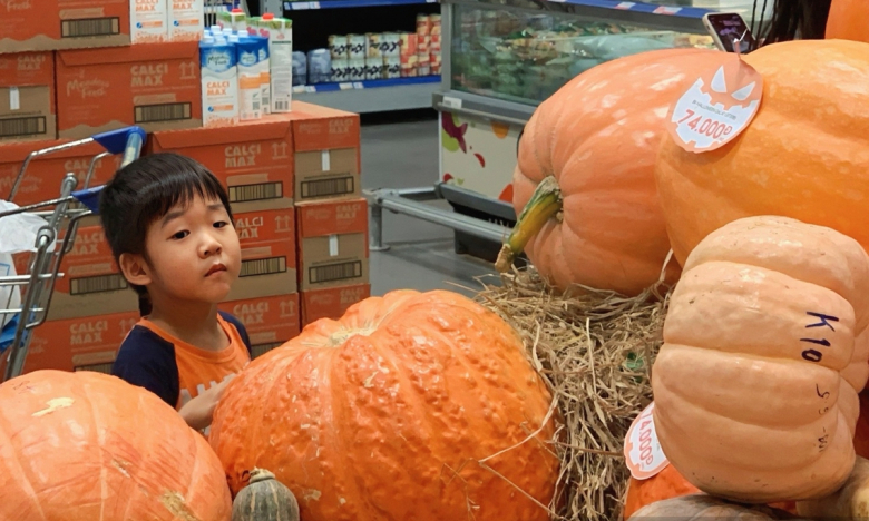 Bí ngô khổng lồ 'cháy hàng' khi Halloween cận kề