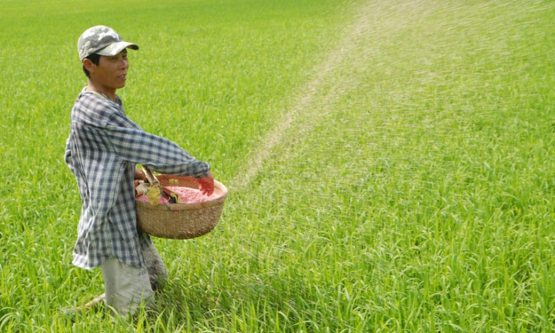 “Ba nhà” chịu thiệt như thế nào suốt 10 năm qua khi phân bón không chịu thuế GTGT?