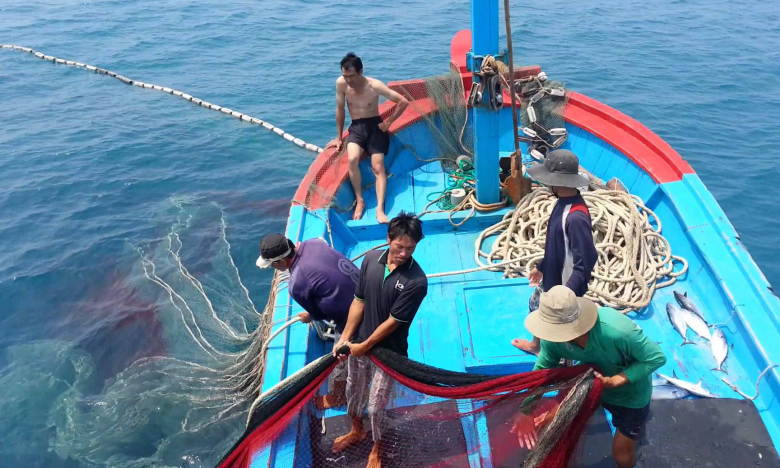Chuyển đổi nghề, tạo sinh kế để hạn chế đánh bắt thủy sản kiểu tận diệt, Bộ NNPTNT kỳ vọng sớm gỡ thẻ vàng IUU