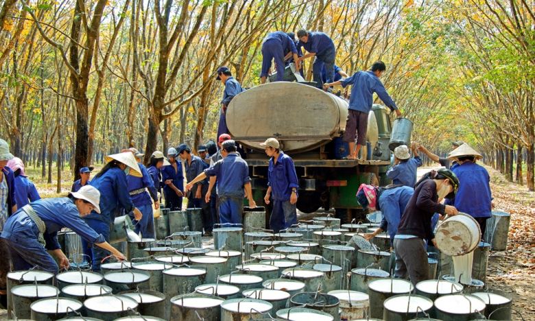 Thua kiện, Tập đoàn Cao su Việt Nam (GVR) phải trả hơn 140 tỷ đồng cho 1 công ty thuỷ điện