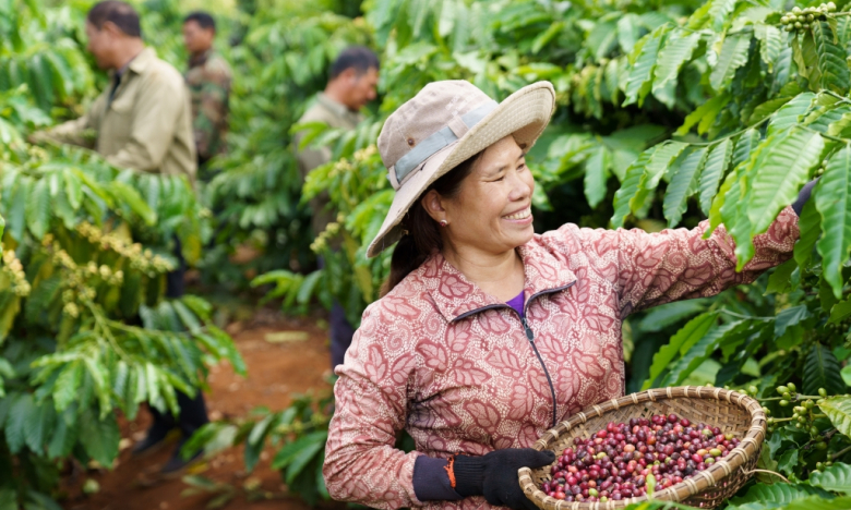 Bất ngờ với thứ hạng xuất khẩu cà phê chế biến, 'ông lớn' Nestlé chỉ về thứ 3