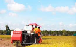 Angimex sắp thoái toàn bộ vốn tại Công ty AGM Agritech