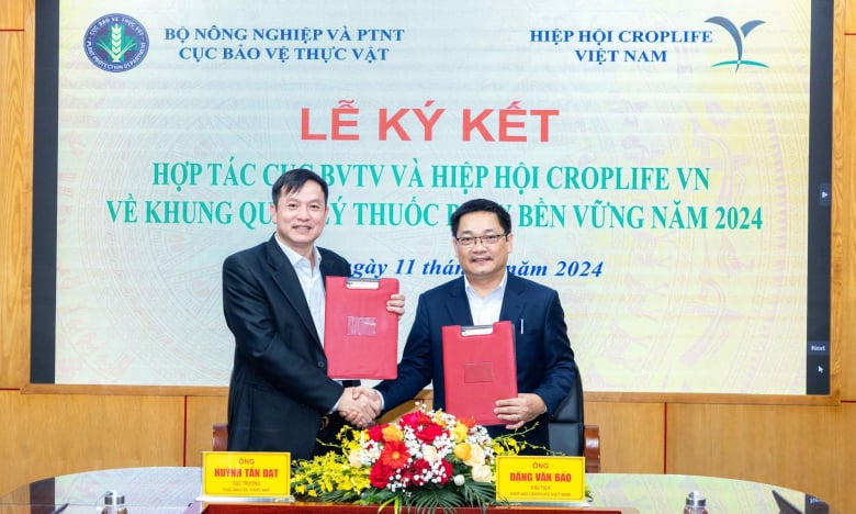 CropLife Quốc tế với chương trình thúc đẩy quản lý thuốc bảo vệ thực vật bền vững ở Kenya, Ma rốc, Thái Lan, Việt Nam
