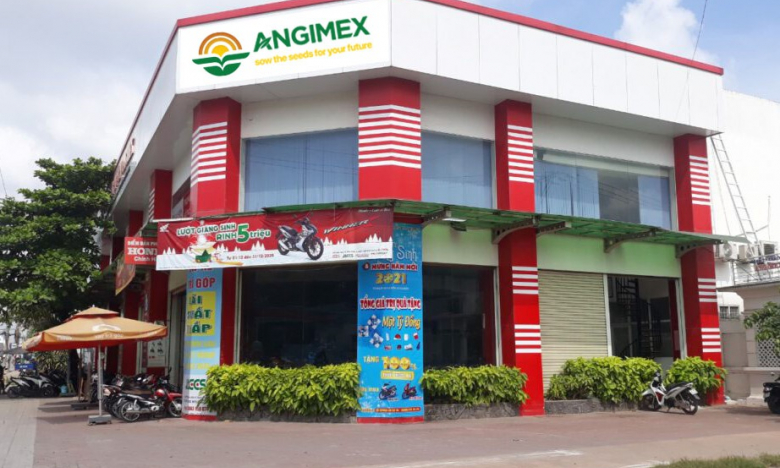 Angimex (AGM): Lỗ lũy kế gấp 24 lần vốn chủ, sắp bán loạt tài sản để trả nợ vay