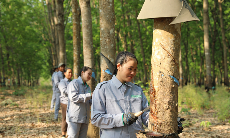 THACO AGRI hướng tới mô hình phát triển nông nghiệp bền vững 