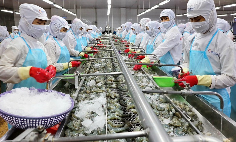 Thủy sản Minh Phú (MPC) trình kế hoạch lãi trước thuế 1.385 tỷ đồng