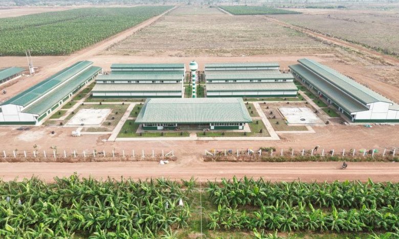 Thaco Agri đầu tư cơ sở vật chất, chăm lo đời sống người lao động