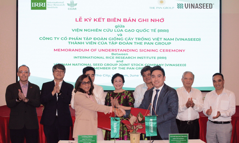IRRI và Vinaseed hợp tác phát triển giống lúa năng suất cao, chất lượng tốt, thích ứng với biến đổi khí hậu
