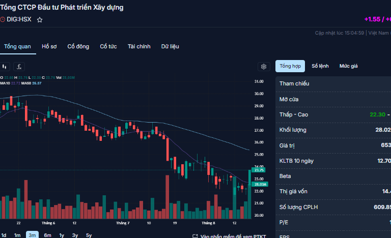 Công ty chứng khoán đã bán giải chấp hơn 5,3 triệu DIG của cố chủ tịch Nguyễn Thiện Tuấn