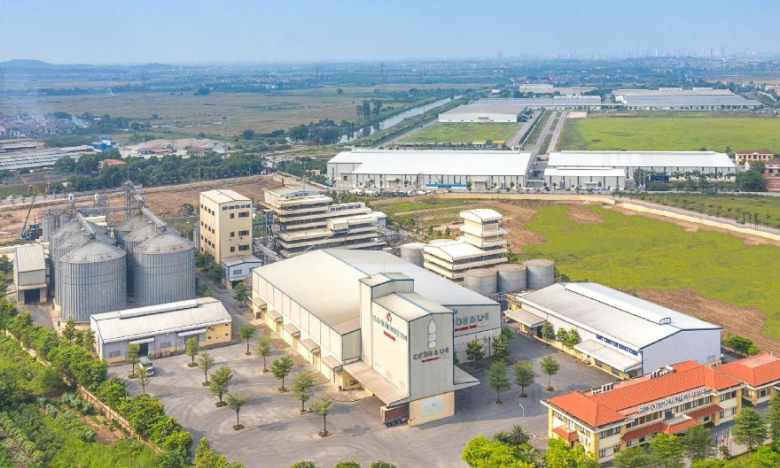 Lộ diện 15 nhà đầu tư cá nhân 'ôm' hơn 2,7 triệu cổ phiếu 'ế' của Dabaco (DBC)