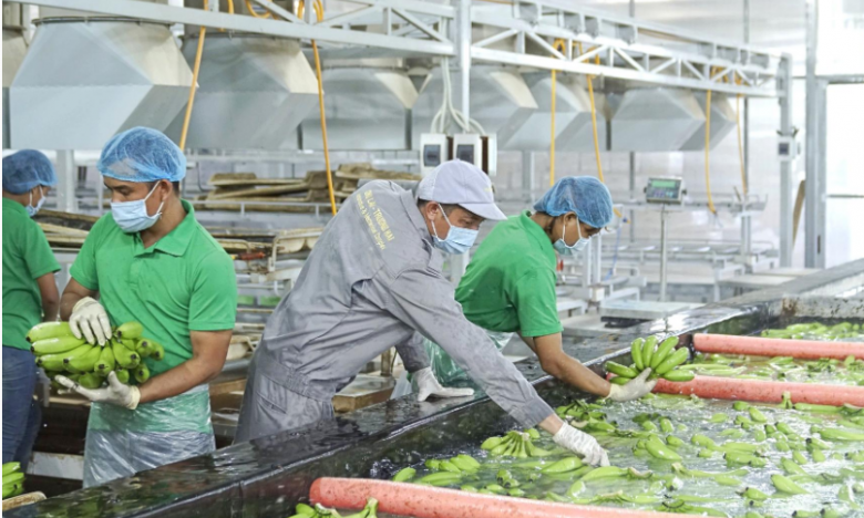Chốt ngày hủy niêm yết cổ phiếu HNG của Công ty CP Nông nghiệp Hoàng Anh Gia Lai (HAGL Agrico)