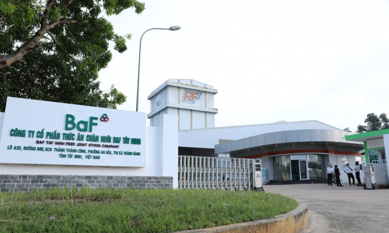 BaF Việt Nam nhận chuyển nhượng 40% vốn của một DN trồng cao su ở Đắk Lắk