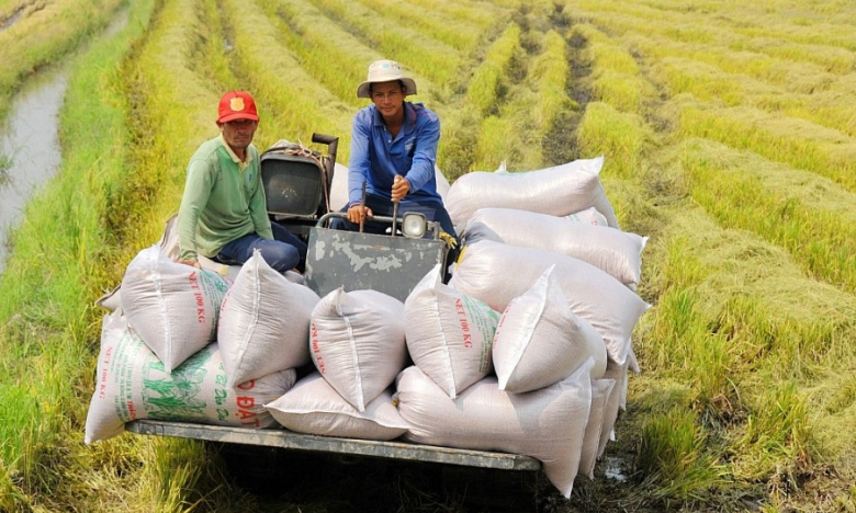 Xuất khẩu gạo tăng mạnh, Trung An, Lộc Trời, Angimex vẫn còn ngổn ngang trong gian khó