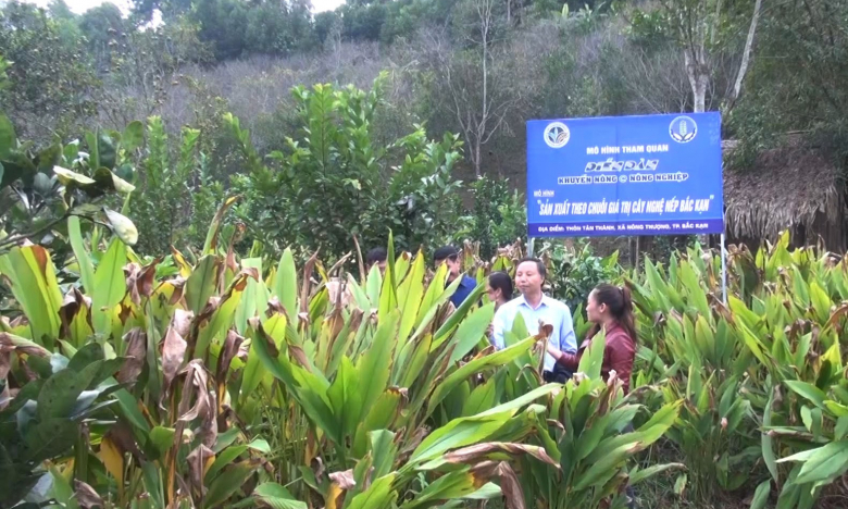 Xây dựng vùng nguyên liệu chuẩn VietGAP ở Bắc Kạn cũng là nâng cao chất lượng sản phẩm, đặc sản OCOP