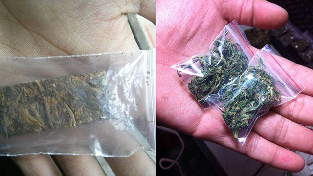 “Sàn giao dịch” cần sa trên mạng: Thâm nhập “sàn” VNS 420