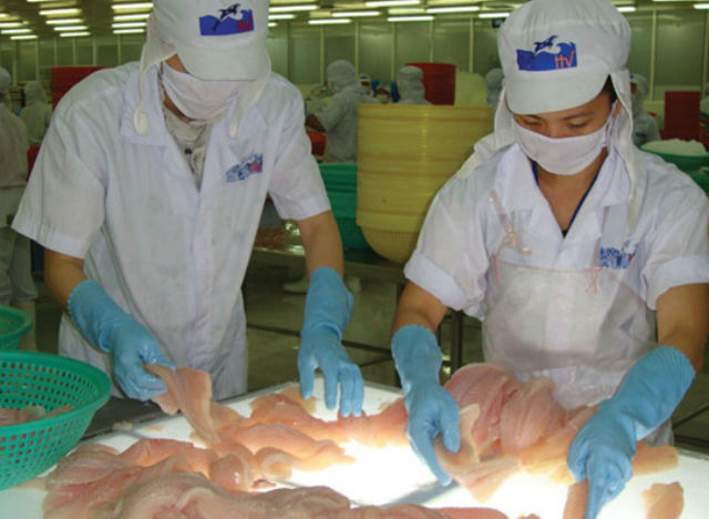 Cổ phiếu nông nghiệp: Bị nhắc nhở, cổ phiếu HVG vẫn tăng kịch trần