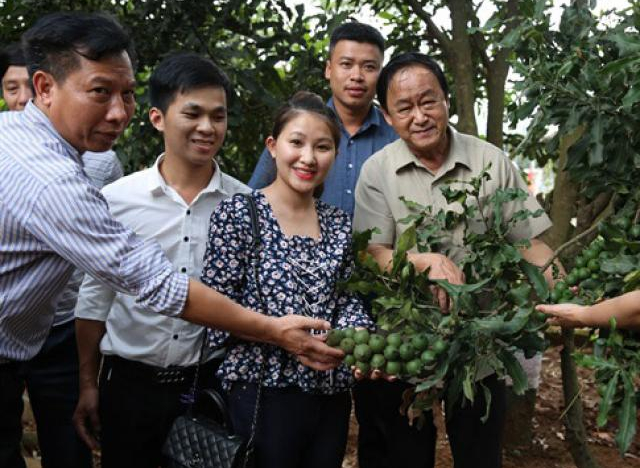 Khách hàng của hạt mắc-ca sẽ chủ yếu là Trung Quốc?