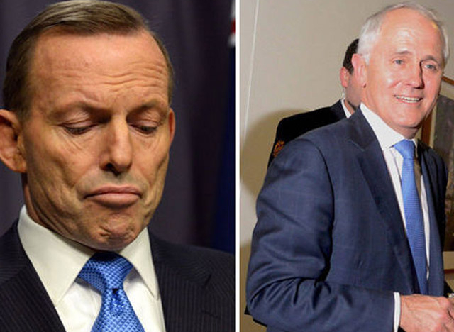 Bật mí về người đánh bại Thủ tướng Úc Tony Abbott trong chớp nhoáng