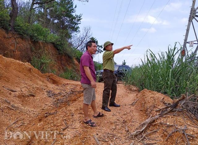 Lideco ngang nhiên phá rừng phòng hộ để kéo lưới điện cho dự án KĐT