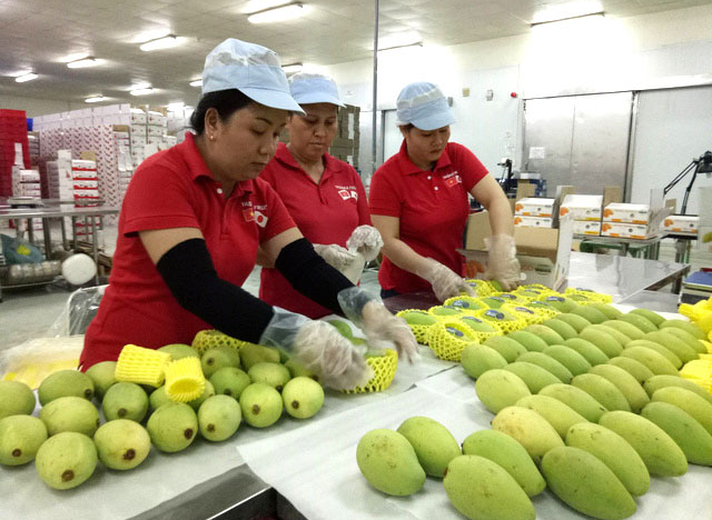 Làm thế nào để nông sản Việt tận dụng các FTA, ra thị trường thế giới?