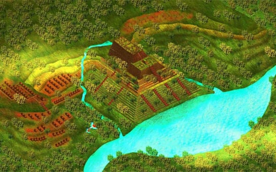 danviet.vn
