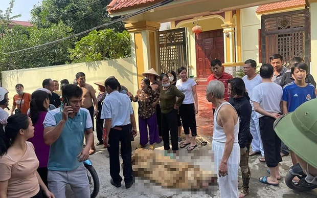 danviet.vn