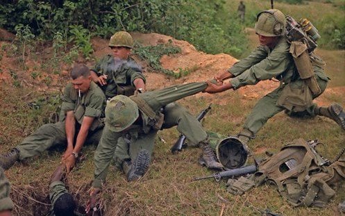 danviet.vn