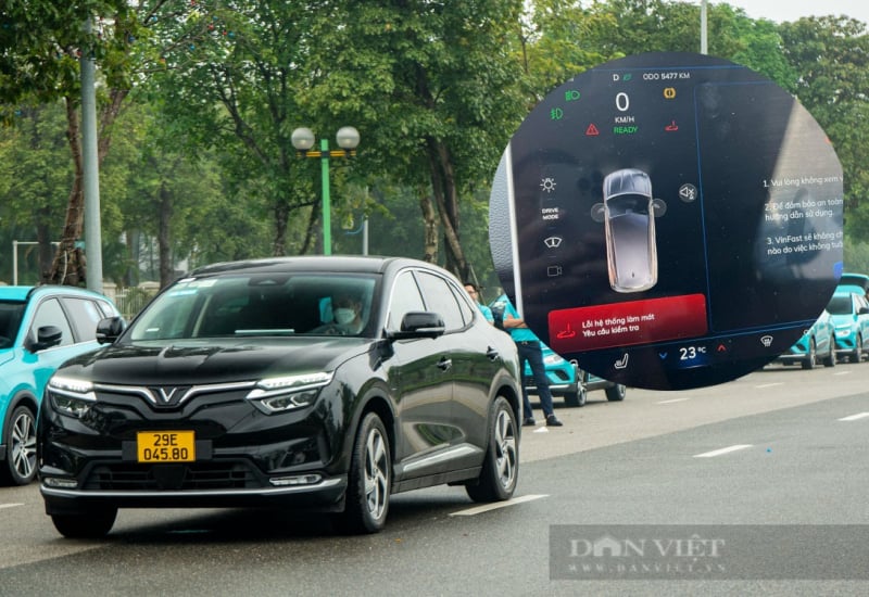 danviet.vn