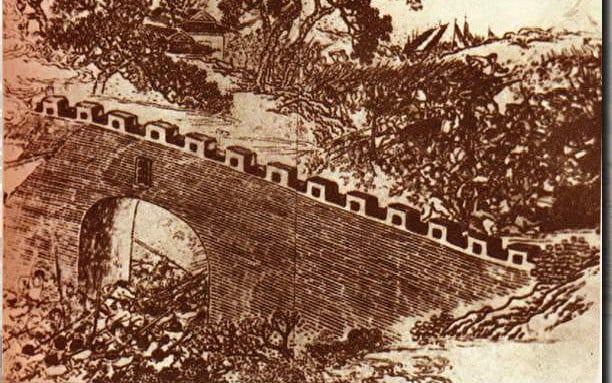 danviet.vn