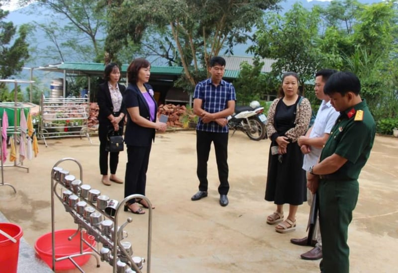 danviet.vn