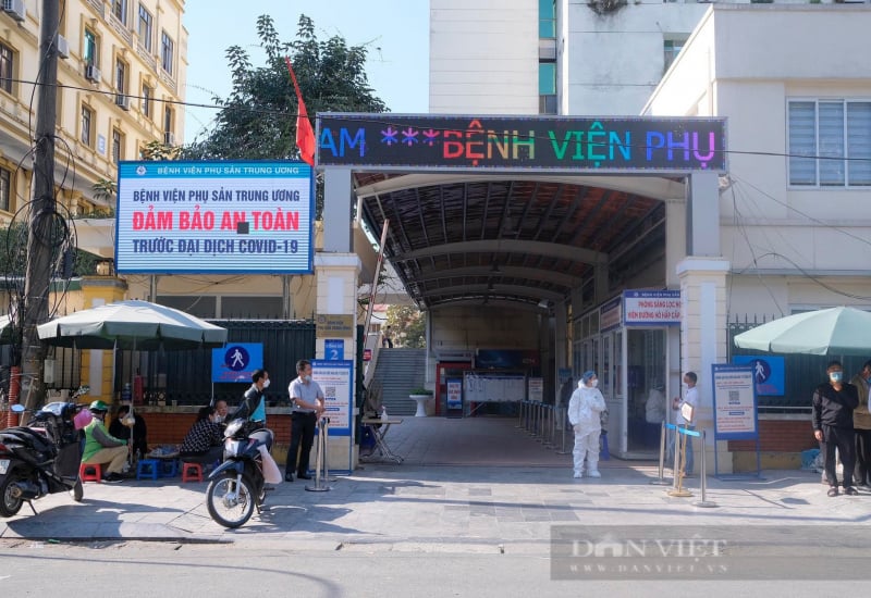danviet.vn