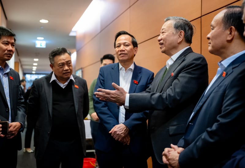 danviet.vn