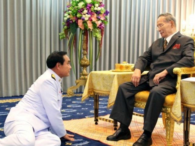 danviet.vn